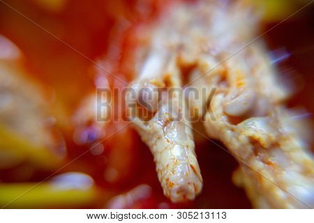 Macro, Red Spicy Chicken Paw Sauce. The Local Food Of Northern's Thailand, Call 