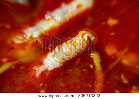 Macro, Red Spicy Chicken Paw Sauce. The Local Food Of Northern's Thailand, Call 