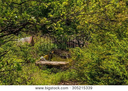 Stern Of Damaged Yellow Fishing Boat In Wilderness Concealed By High Brush And Trees.