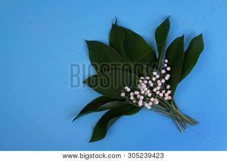Lily Of The Valley In Vase On A Blue Background With Copyspace. Art Minimalism Concept. Holiday Of L