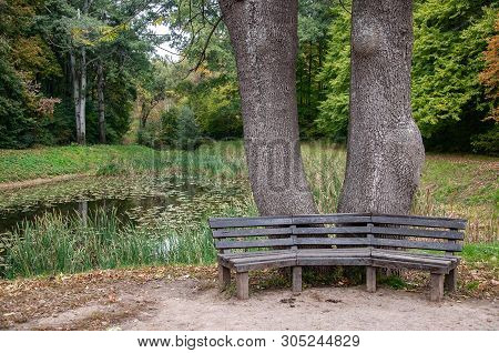 Old Weathered Wood Benches With Calm Pond Water Background. Two Big Tree Trunks On Bank Of Small Ove