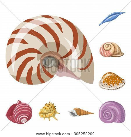 Vector Illustration Of Seashell And Mollusk Logo. Set Of Seashell And Seafood  Stock Symbol For Web.