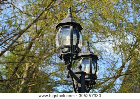 Retro Vintage Street Lamp With Energy Saving Lamp In Park In Sunny Day.