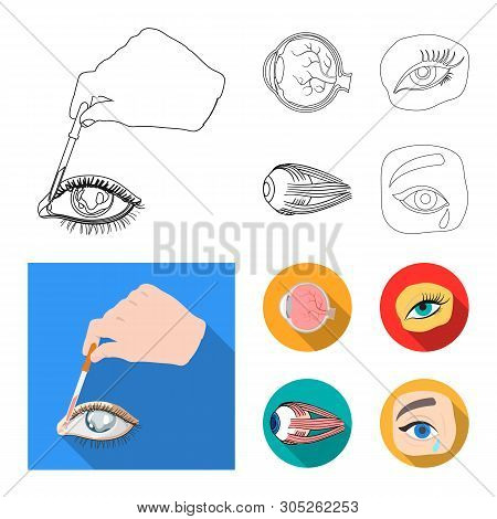Vector Illustration Of Medical And Eyeball Icon. Collection Of Medical And Optical Vector Icon For S