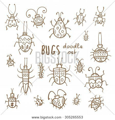 Cartoon Bugs Set. Different Species Of Beetles.  Funny Insects Collection. Doodle Style. Vector Cont