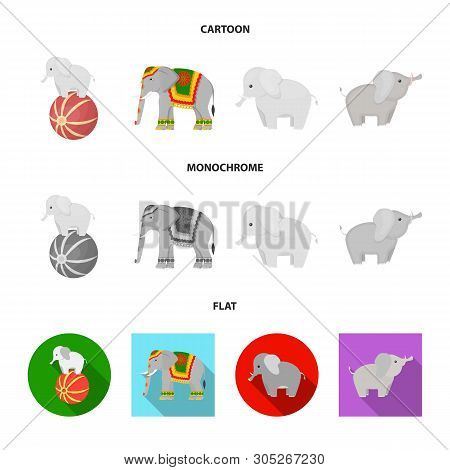 Vector Illustration Of Elephant And Asian Sign. Set Of Elephant And Elephant Stock Vector Illustrati