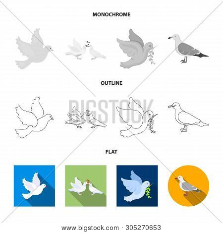 Vector Illustration Of Flying And Dove Symbol. Set Of Flying And Carrier Stock Vector Illustration.