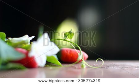 Vegetable, Bunch Of Ivy Gourd Leaves On A Bokeh Background