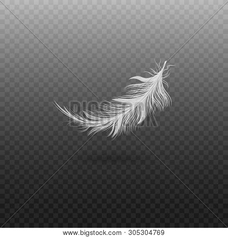 White Bird Feather Isolated On Transparent Background, Realistic Fluffy Swan Plumage Floating In Air