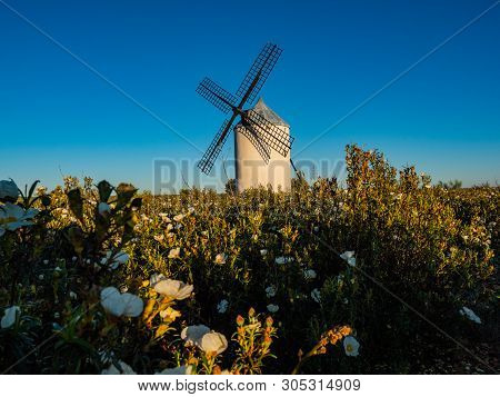 Molino De Vinuelas, A Region Near Guadalajara Photographed At Sunset With A Field Of Flowers In The 