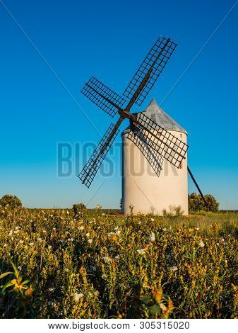 Molino De Vinuelas, A Region Near Guadalajara Photographed At Sunset With A Field Of Flowers In The 