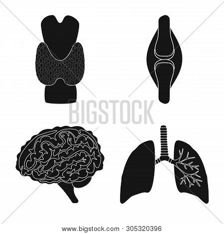 Vector Illustration Of Research And Laboratory Sign. Set Of Research And Organ Stock Symbol For Web.