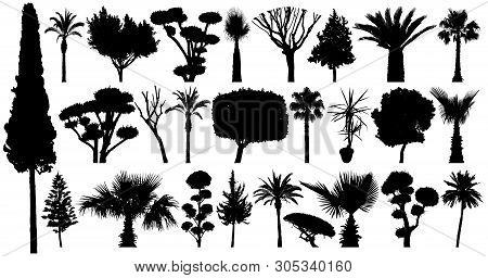 Trees Set Silhouette Vector. Collection Of Plants And Bushes. Isolated On A White Background