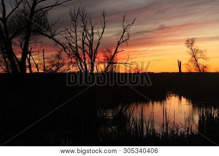 Swamp Lands At Sunset On Lake Simcoe