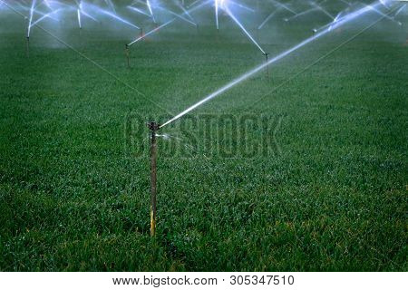 Sprinker irrigation system spraying water on field agricultural