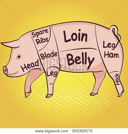 Pop Art Background, Imitation Of Comics. Boar Or Pig For A Restaurant Menu, Carcass Split. Raster