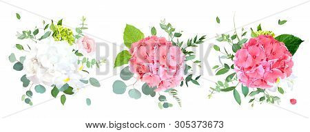 Summer Hydrangea Flowers Vector Design Bouquets. White, Pink, Coral, Peachy Colored Hydrangea, Rose.