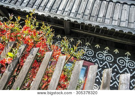 Painted Folk House With Red Flowers, Cicmany Village, Slovak Republic. Architectural Theme. Travel D