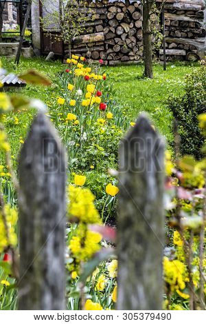 Springtime In Garden, Cicmany Village, Slovak Republic. Travel Destination. Seasonal Natural Scene.