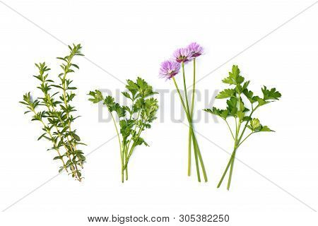 Thyme, Parsley And Shives Isolated On White Background