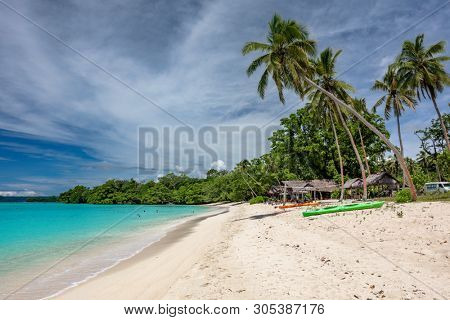 Amazing Port Orly sandy beach with palm trees, Espiritu Santo Island, Vanuatu.