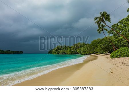 Amazing Port Orly sandy beach with palm trees, Espiritu Santo Island, Vanuatu.