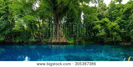 Matevulu Blue Hole, Espiritu Santa Island, Vanuatu, famous tourist destination