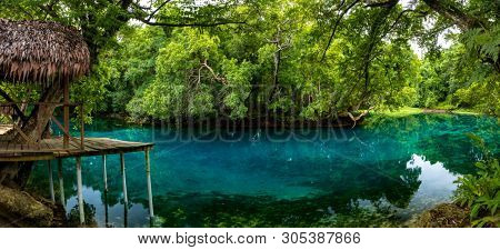 Matevulu Blue Hole, Espiritu Santa Island, Vanuatu, famous tourist destination