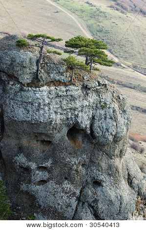 Fyrretræer på Demirji sten, spøgelset Valley-berømte ukrainske Natural Reserve