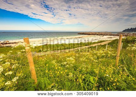 Seascape, Sea Coast With Sandy Beach Breakwater And Meadow Flowers In Resort Bleik Andoya Norway. Ve