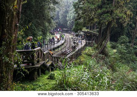 Alishan,taiwan-october 14,2018:the Green Forest At Alishan Train Station On Alishan Mountain,taiwan.