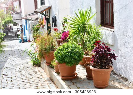 Everyday Life On The Meditteranean Streets. Flowerpots With Flowers, Palms And Other Plants Are On T