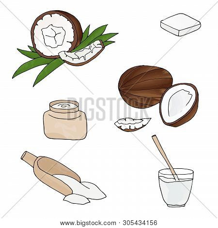 Vector Coconut Hand Drawn Collection. Sketch Vector Tropical Food Illustration.