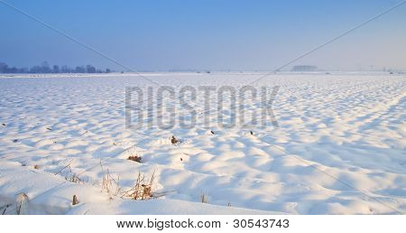 Śnieżny