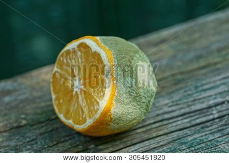 One Piece Of Rotten Lemon Lies On A Gray Wooden Table