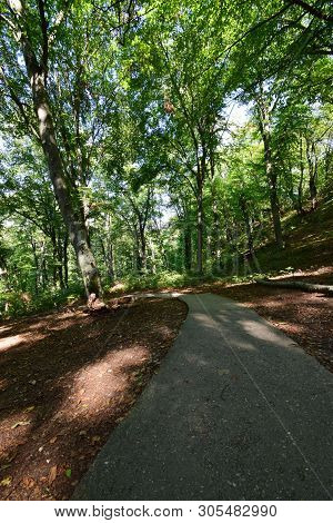 Road For Walks In The Park Mountain Zone Of The Kizilovka Mountain In The Foothills Of The North Cau