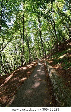 Forest Road With Steps Among Green Trees In Summer On Kizilovka Mountain In The Foothills Of The Nor