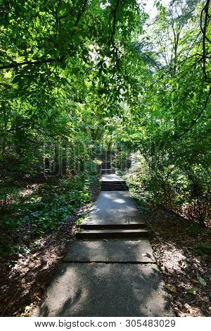 Forest Road With Steps For Outdoor Activities Among Green Trees In The Summer On Mount Kizilovka In 