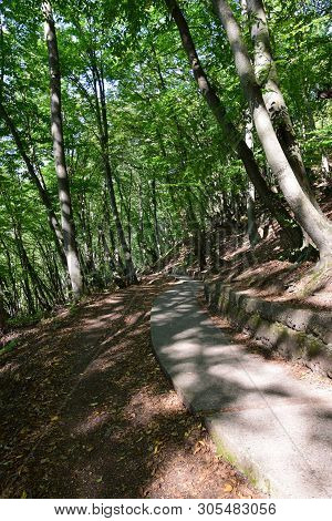 Road From The Mountain For Outdoor Activities Among Green Trees In The Summer On Mount Kizilovka In 