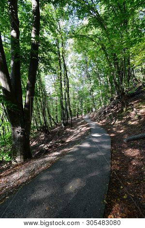 Road For Active Recreation Among Trees In The Summer On Mount Kizilovka In The Foothills Of The Nort