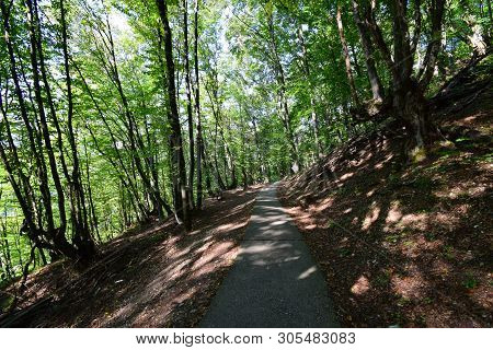 Road For Active Recreation Among Green Trees In Summer On Kizilovka Mountain In The Foothills Of The
