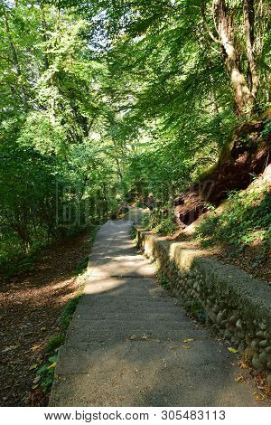 Road For Active Recreation Among Trees On Mount Kizilovka In The Foothills Of The North Caucasus