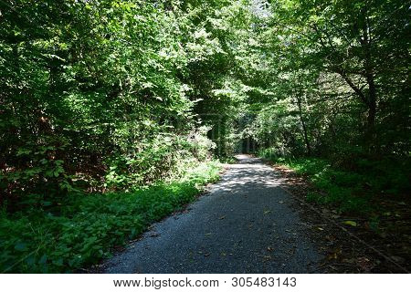 View Of Trees And A Walkway For Tourism In The Summer On Mount Kizilovka In The Foothills Of The Nor
