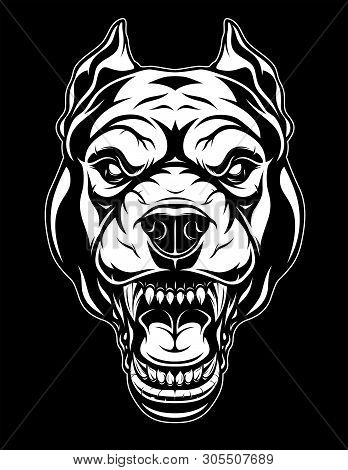 Vector Illustration, The Head Of A Ferocious Pit Bull Grins, On A Black Background