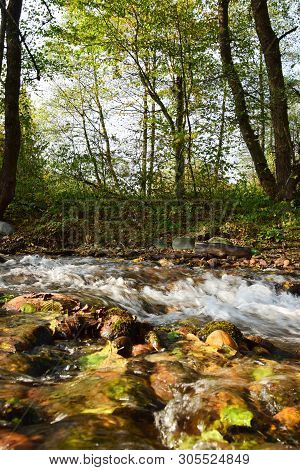 View Of The Evening Mountain Stream With A Blue Lake With Trees In Cherek Gorge In The Mountains Of 