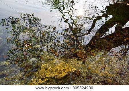 View Of The Autumnal Karst Blue Lake With Reflection Of Green And Yellow Tree Branches In The Cherek