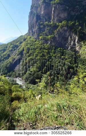 View Of The Mountain Gorge Cherek With Wild Forest On The Rocks In The Mountains Of The North Caucas