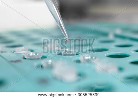 Closeup Laboratory Assistant Analyzing A Blood Sample Using Micropipette. Science And Medicine Conce