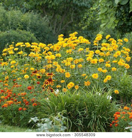 A Variety Of Flowers In The Summer Groomed Park