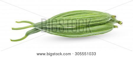 Fresh Green Luffa Acutangula  Isolated On White Background